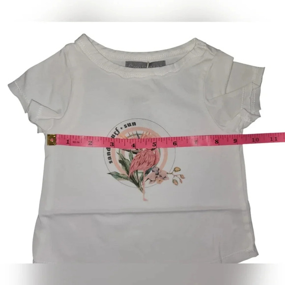 NWT Grey Vintage Flamingo Graphic Tee Size  6 Months - Picture 4 of 6